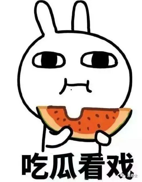 吃瓜说舆情,揭秘网络热议背后的真相与趋势