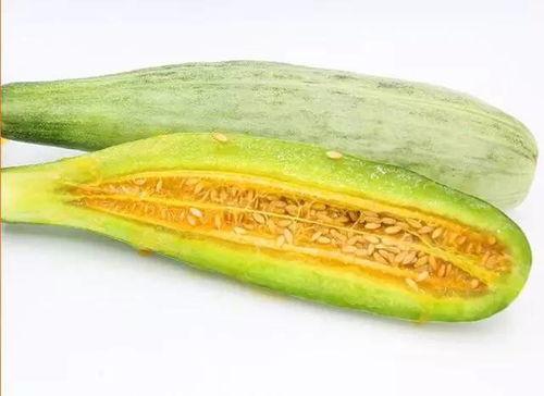 周淮吃瓜