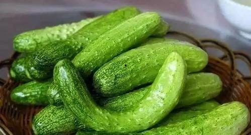 冠心病吃土瓜,天然食疗新选择