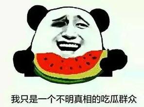 网络吃瓜群众评论
