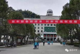 遂昌中学 吃瓜,揭秘校园“吃瓜”文化背后的故事