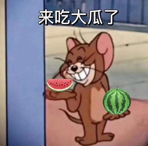 大哥在吃瓜