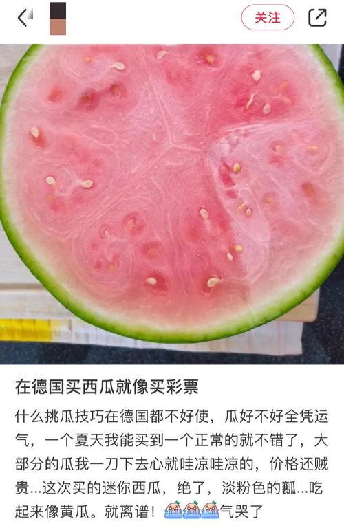 国外人吃瓜吗,揭秘不同文化中的围观现象