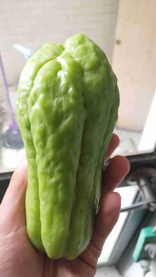 缅甸山头瓜怎么吃,缅甸山头瓜的多样食法探索