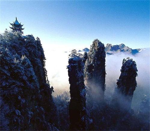 张家界五人吃瓜视频播放,一场意外的网络狂欢