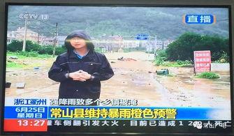 魏县吃瓜新闻报道视频
