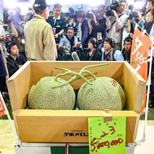 韩国群众吃瓜视频,群众围观吃瓜视频，揭秘生活百态