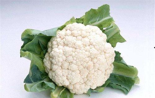 菜花夫妇吃瓜视频在线观看,揭秘娱乐圈幕后故事