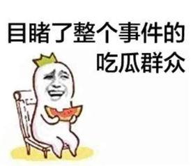 带你吃瓜解说沙雕视频大全