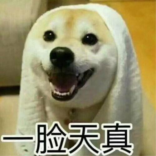 带你吃瓜解说沙雕视频大全