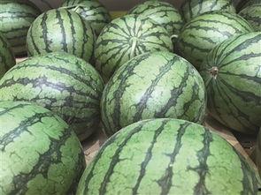 仙居横溪吃瓜事件视频