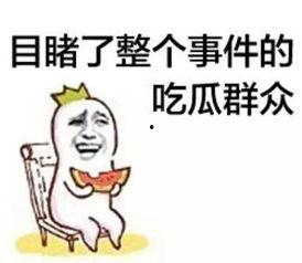 吃瓜群众的可恶吐槽视频,揭秘网络舆论场的众生相