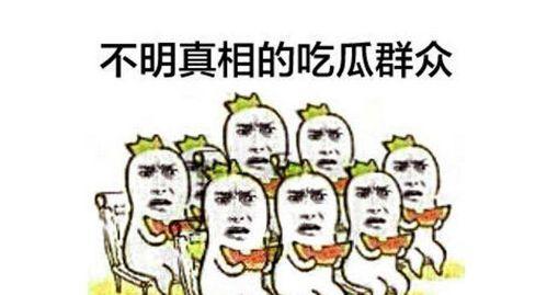 吃瓜群众的可恶吐槽视频,揭秘网络舆论场的众生相