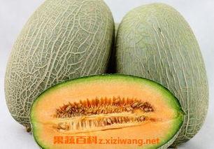 软哈密瓜怎么吃最好吃视频