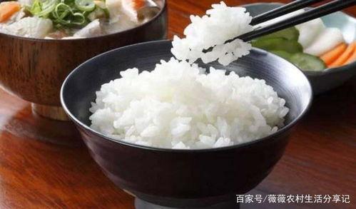 带你吃瓜奇葩米饭视频在线观看,吃瓜奇葩米饭视频，在线观看笑翻天！