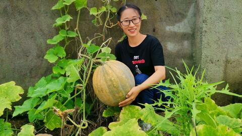浙江农业大学吃瓜视频,校园生活趣味瞬间大揭秘