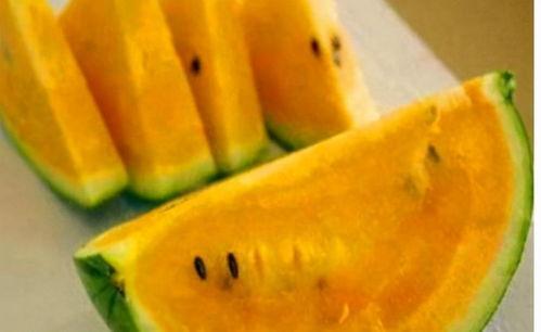 黄料吃瓜视频