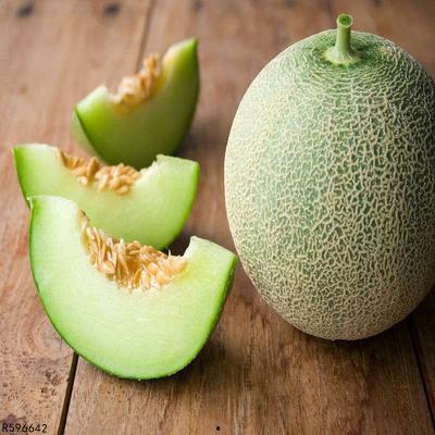 四个月宝宝吃哈密瓜视频,甜蜜瞬间捕捉！”