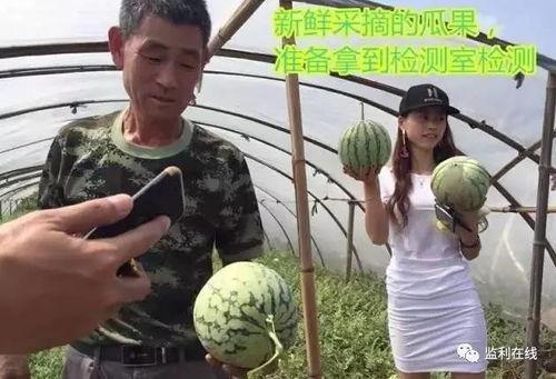 吃瓜群众直播视频,吃瓜群众带你领略网红幕后生活