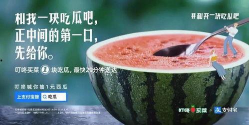 厦门吃瓜新闻视频