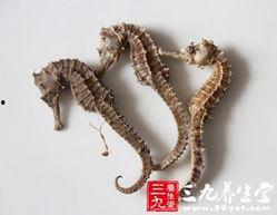 海马吃瓜视频,揭秘海洋生物的趣味食性