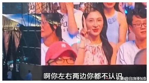 吃瓜观众在线观看视频,直播视频盛宴