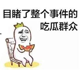 罗主任吃瓜骂人视频全集,一场网络狂欢的幕后真相