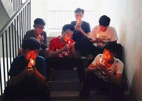 办公室小伙伴吃瓜视频,揭秘小伙伴们的吃瓜日常