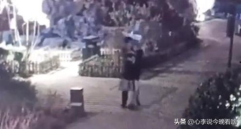 甘肃城市吃瓜事件视频最新