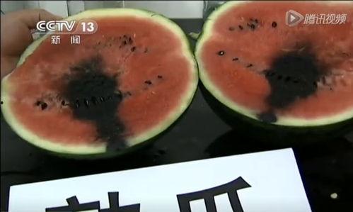 网上流行的吃瓜视频大全,笑料百出，揭秘娱乐圈幕后故事