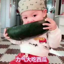 吃茄瓜的小朋友视频,小宝贝品尝茄瓜的欢乐瞬间