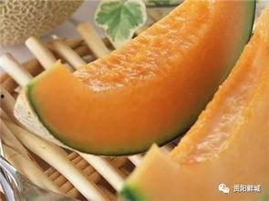 吃不吃哈密瓜的原版视频,一场关于吃或不吃的抉择之旅