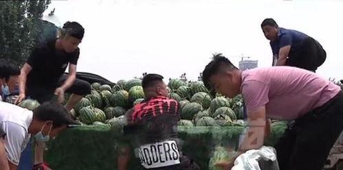 郸城县吃瓜事件真相视频